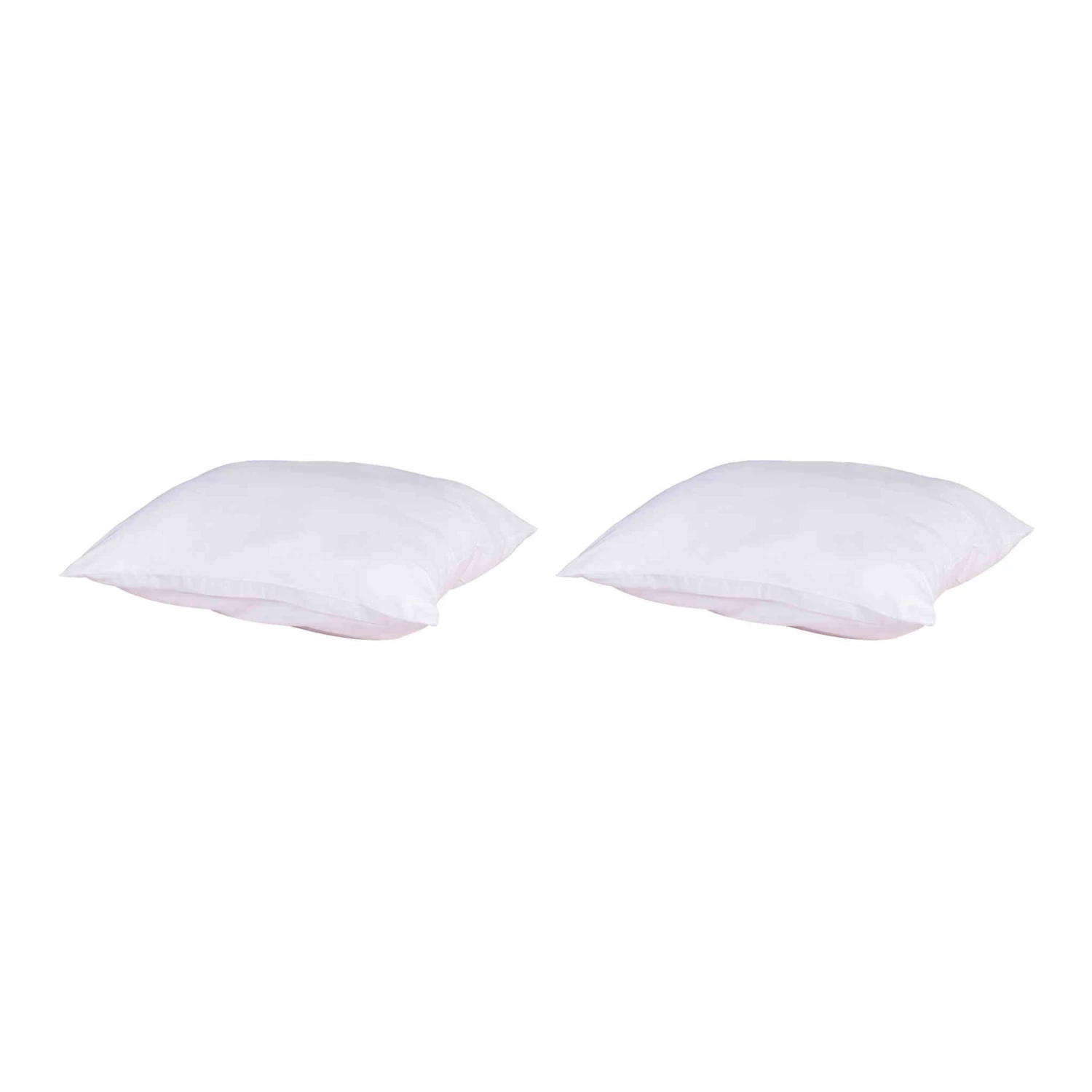 Lot De 2 Oreillers Anti-punaises Et Anti-insectes Moelleux Enveloppe Microfibre 3 Lot De 2 Oreillers Anti-punaises Et Anti-insectes Moelleux Enveloppe Microfibre
