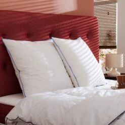 Lot De 2 Oreillers Moelleux Duvet De Canard Anti-allergènes Someo -Doublures De Lit Soldes 2024 2oreillers duvet de canard zoom ambiance 2