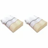 Lot De 2 Oreillers Ergonomiques Mousse Mémoire Végétale Et Taies D'oreillers Percale Someo 40x60 1 Lot De 2 Oreillers Ergonomiques Mousse Mémoire Végétale Et Taies D'oreillers Percale Someo 40x60 -Doublures De Lit Soldes 2024 lot 2 oreiller ergo mousse memoire vegetale 1