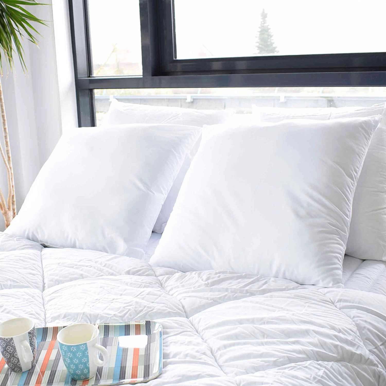 Lot De 2 Oreillers Protection Anti-acariens 60x60 3 Lot De 2 Oreillers Protection Anti-acariens 60x60