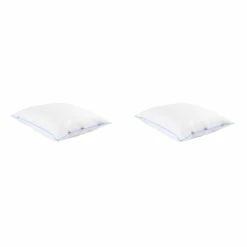 Lot De 2 Oreillers Moelleux Duvet De Canard Anti-allergènes Someo