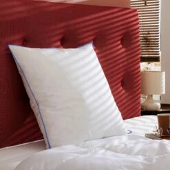 Oreiller Moelleux/ferme Duvet De Canard Anti-allergènes Someo 17 Oreiller Moelleux/ferme Duvet De Canard Anti-allergènes Someo -Doublures De Lit Soldes 2024 oreiller duvet de canard zoom ambiance 2 1