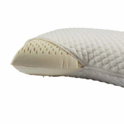 Oreiller Latex Et Housse De Protection Someo 40x60 7 Oreiller Latex Et Housse De Protection Someo 40x60 -Doublures De Lit Soldes 2024 oreiller latex 3