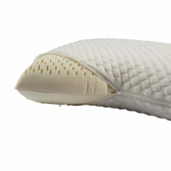 Lot De 2 Oreillers Latex Et Housses De Protection Someo 40x60 7 Lot De 2 Oreillers Latex Et Housses De Protection Someo 40x60 -Doublures De Lit Soldes 2024 oreiller latex 3 1