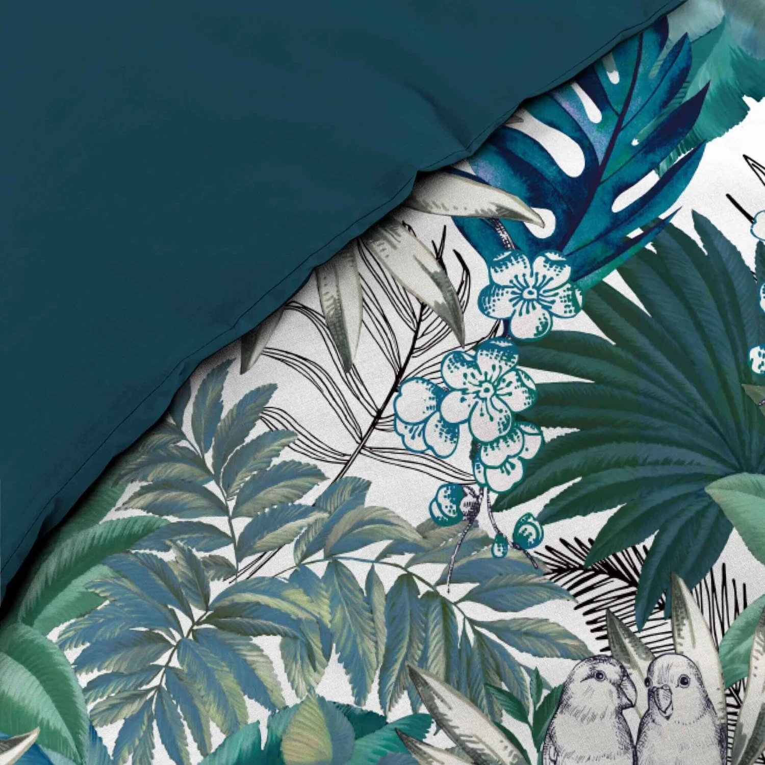 Parure De Lit Percale Colibri 4 Parure De Lit Percale Colibri – Image 2